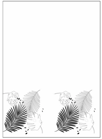 wz 10.png