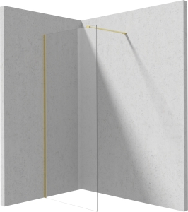 Ścianka prysznicowa walk-in 120 cm Deante Prizma KTJ R32P