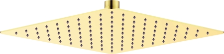 NAC_Z02K