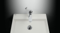 ALPINIA_C
