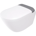 CSID6ZPW-2_szary